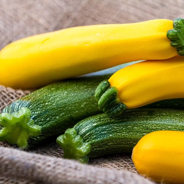Zucchini