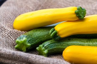 Zucchini