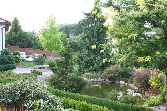 Gartenbäume der Gärtnerei & Baumschule Nickel Neuzelle