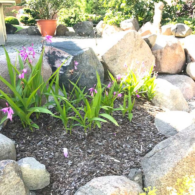 Gartengestaltung der Gärtnerei & Baumschule Nickel in Neuzelle
