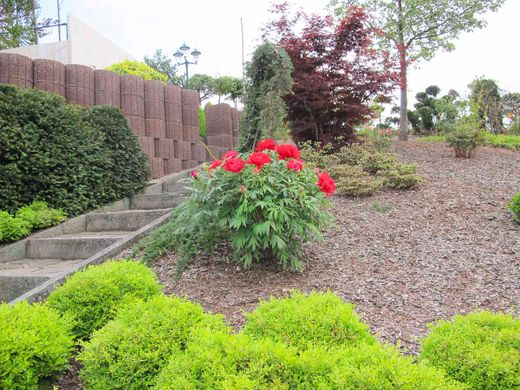 Gartengestaltung der Gärtnerei & Baumschule Nickel in Neuzelle