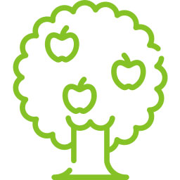 Icon für Obstbäume der Gärtnerei & Baumschule Nickel in Neuzelle