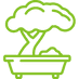 Bonsai